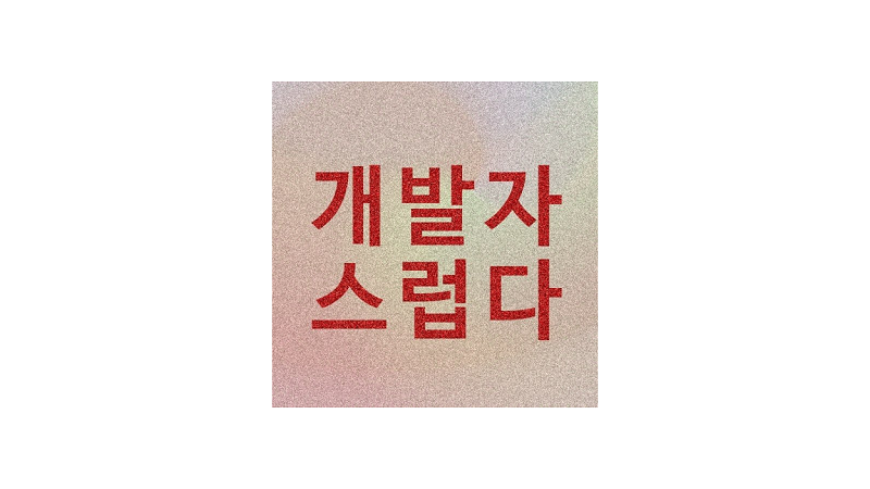 개발자스럽다, gaerae